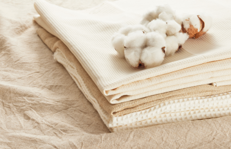 Untitled design – 2025-09-15T191142.541