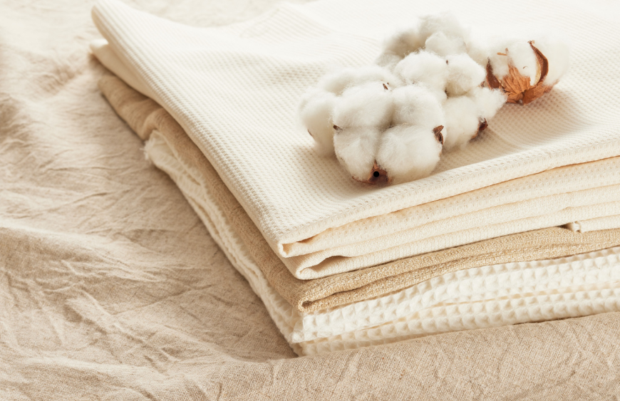 Untitled design – 2025-09-15T191142.541