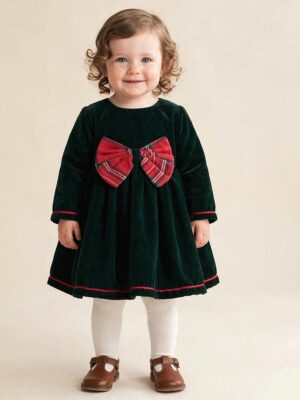Holiday Velvet Dress