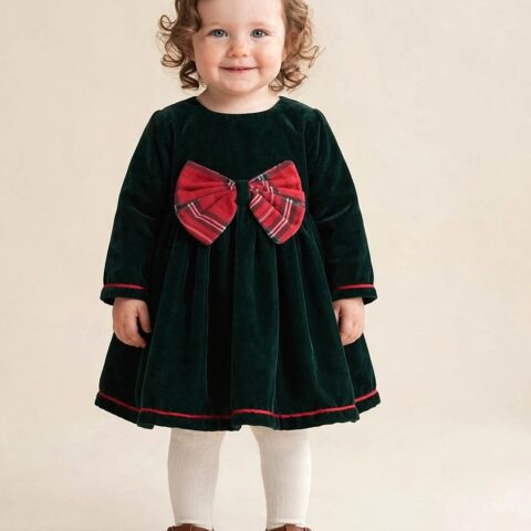 Holiday Velvet Dress